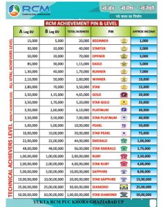 rcm business plan hindi pdf rcm business plan hindi pdf